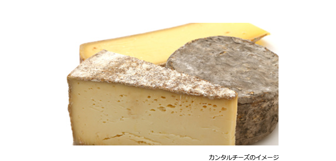 フランス最古のチーズ カンタル フランス最古のチーズ カンタル