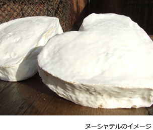 ヌーシャテルの豆知識